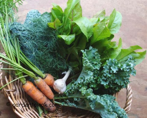 Carrots, kale, beet greens & garlic