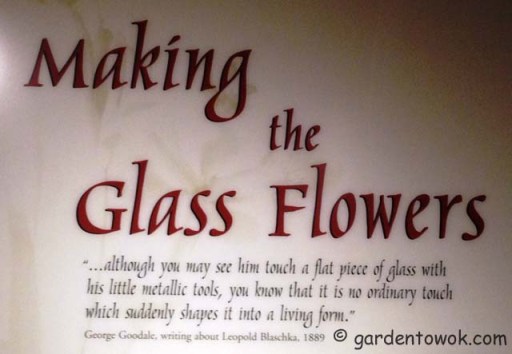 Making of the glass flowers