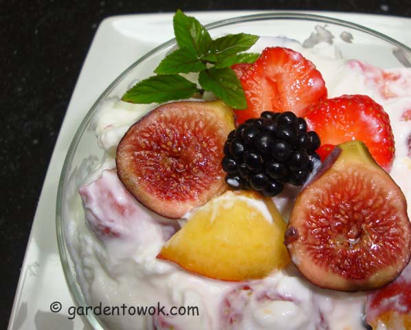 Greek yogurt & fruits (06728)